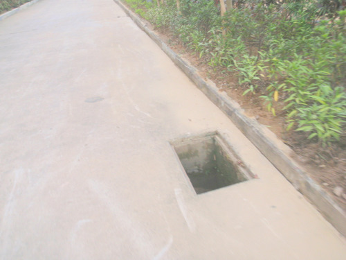 Roadside Hazards.